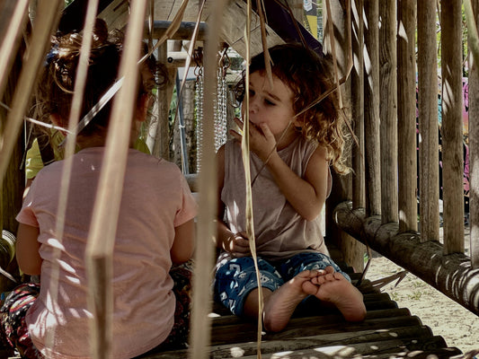 Bear and a friend sharing a moment in the beach surrounded by bamboo. In this moment friendship is blooming through kindness