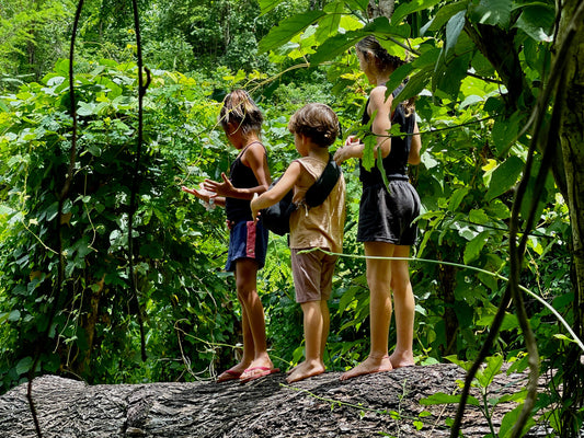 Chilren walking on a fallen tree in a bamboo jungle, creating trust and friendship